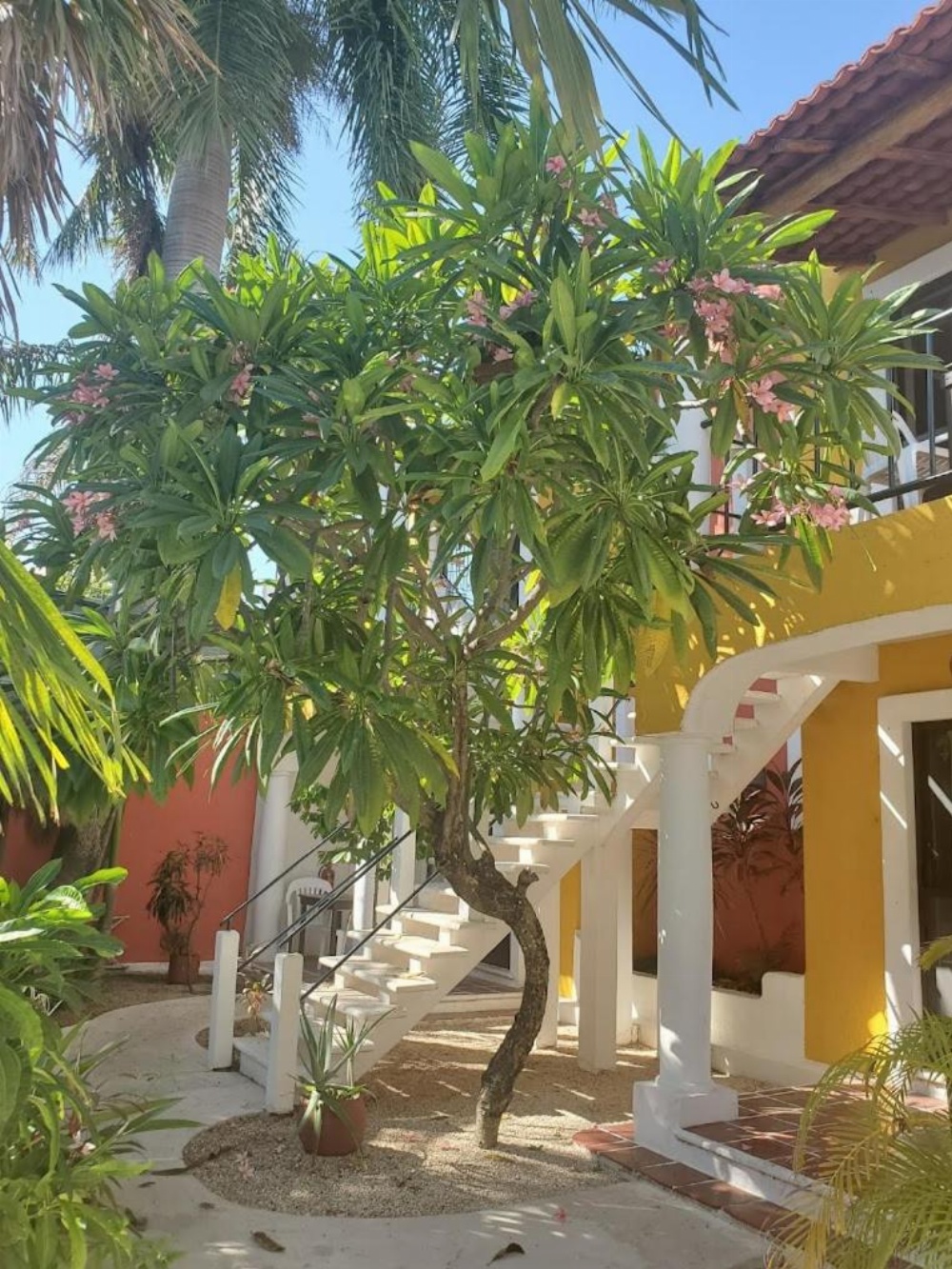 HOTEL ACUARIO Image 14
